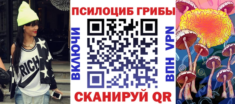 OMG зеркало Лысково Галлюциногенные грибы Psilocybine cubensis